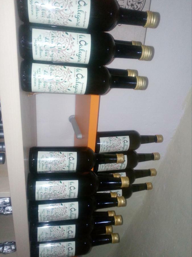 B&B Le Calegare Diano Castello Extérieur photo